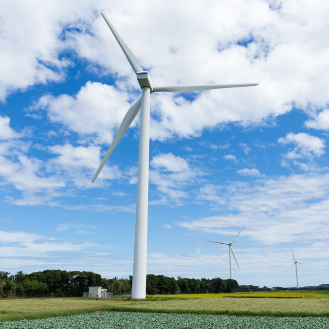 Residential Solar Panels NC/SC EPC Solar Contractor